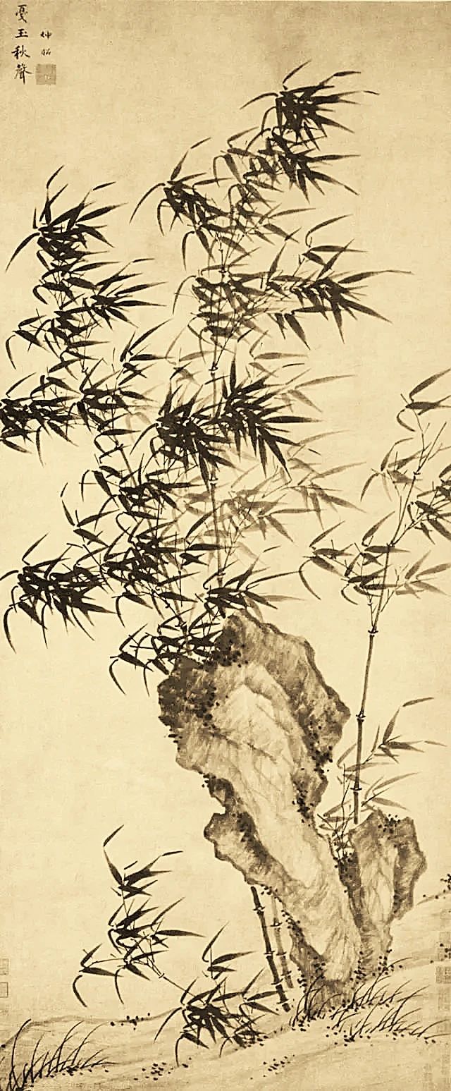 2竹子.jpg 2竹子.jpg